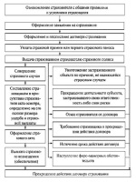 Приказ о назначении ответственного за гиа