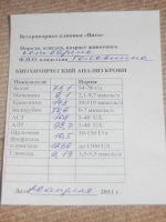 Приказ о создании насф образец